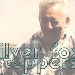 Team Page: Silver Fox Steppers for Nicholas J. Barker
